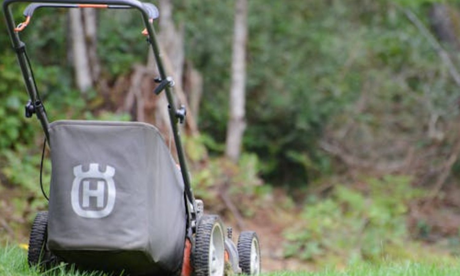 Multiservices Jardinage : Votre jardin, notre passion