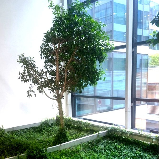 <strong>Entretien espaces verts</strong> <small>© Christophe Azzopardi</small>